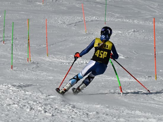 Sunny - Slalom States