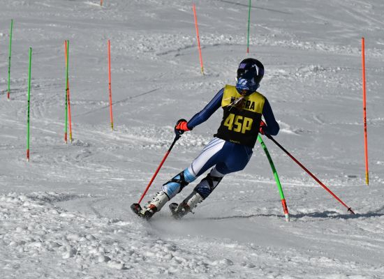 Sunny - Slalom States