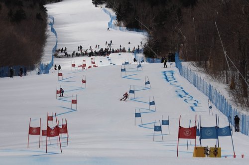 Dual Panel Slalom Race