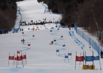 Dual Panel Slalom Race